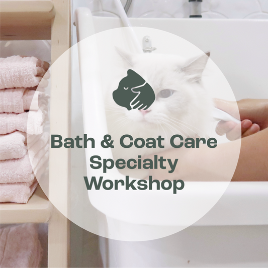 Cat Bath & Coat Care Specialty Workshop [Upcoming: TBC]