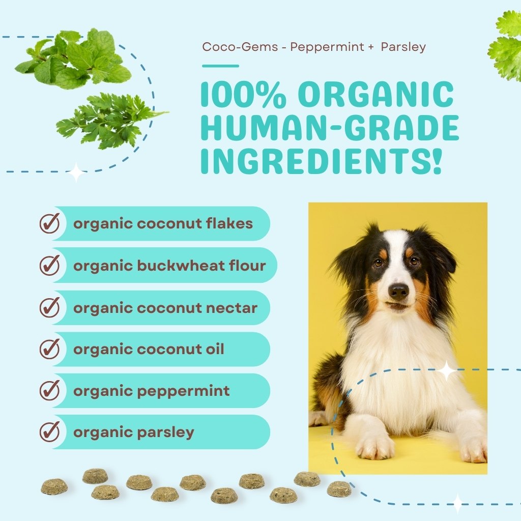 Cocotherapy Coco-Gems Training Treats Peppermint + Parsley (Organic Training Treat for dogs)