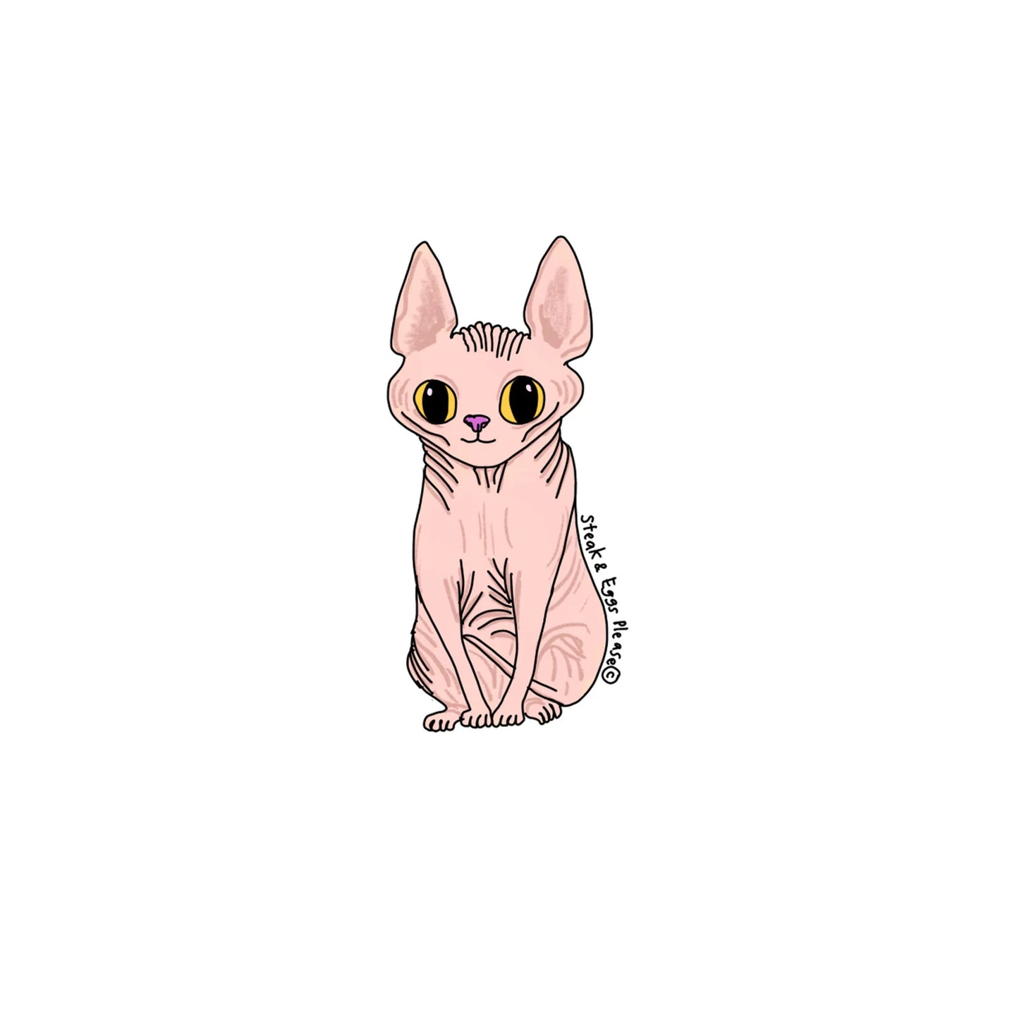 Sphynx Cat Sticker