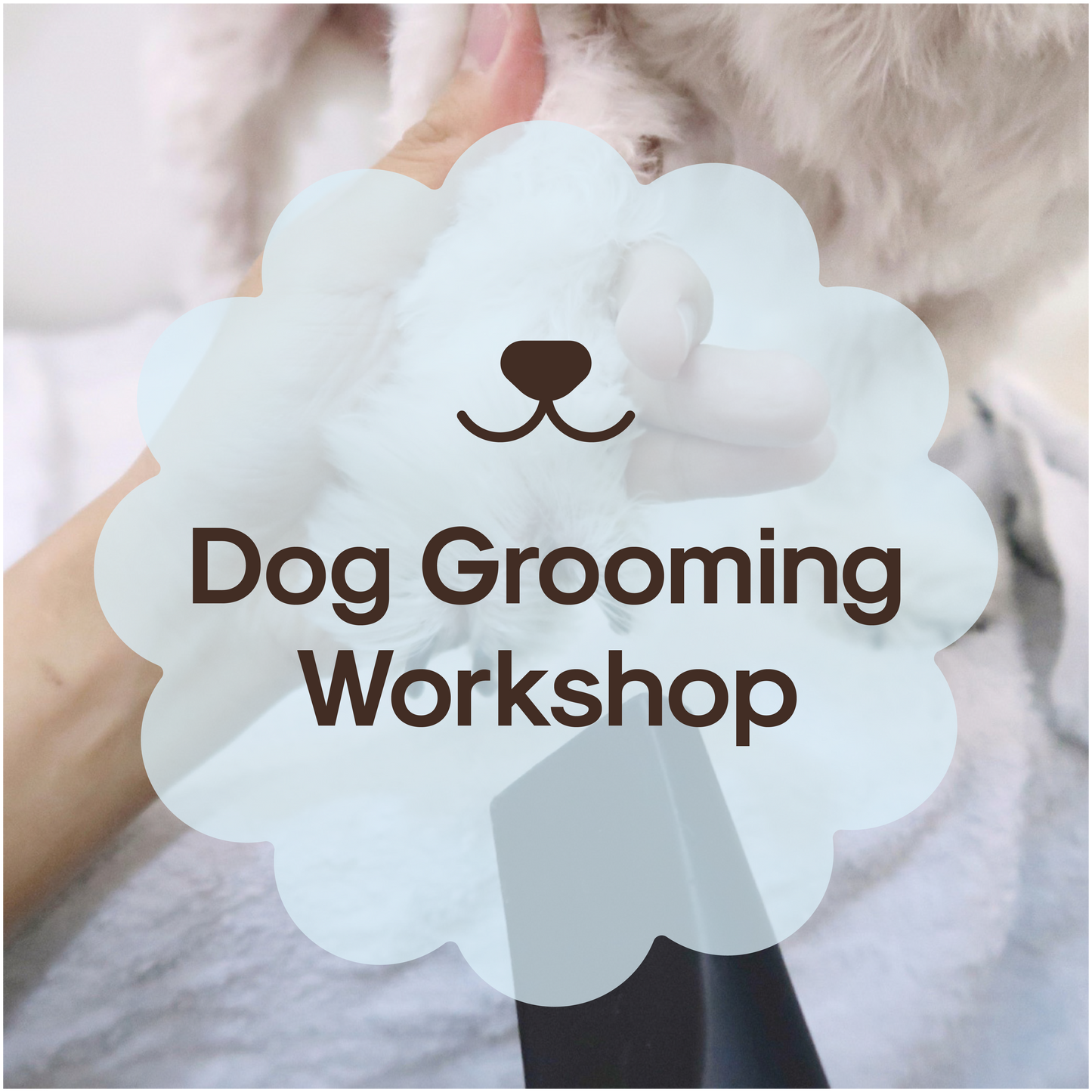 Dog Care and Grooming Essentials Workshop Slot [Upcoming: 6 July 2024]