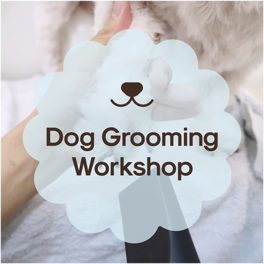 Dog Care and Grooming Essentials Workshop Slot [Upcoming: 6 July 2024]