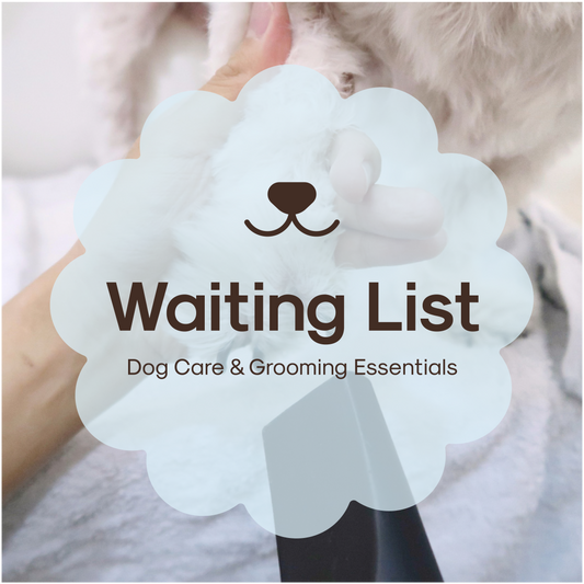 Register Interest: Dog Care & Grooming Workshop