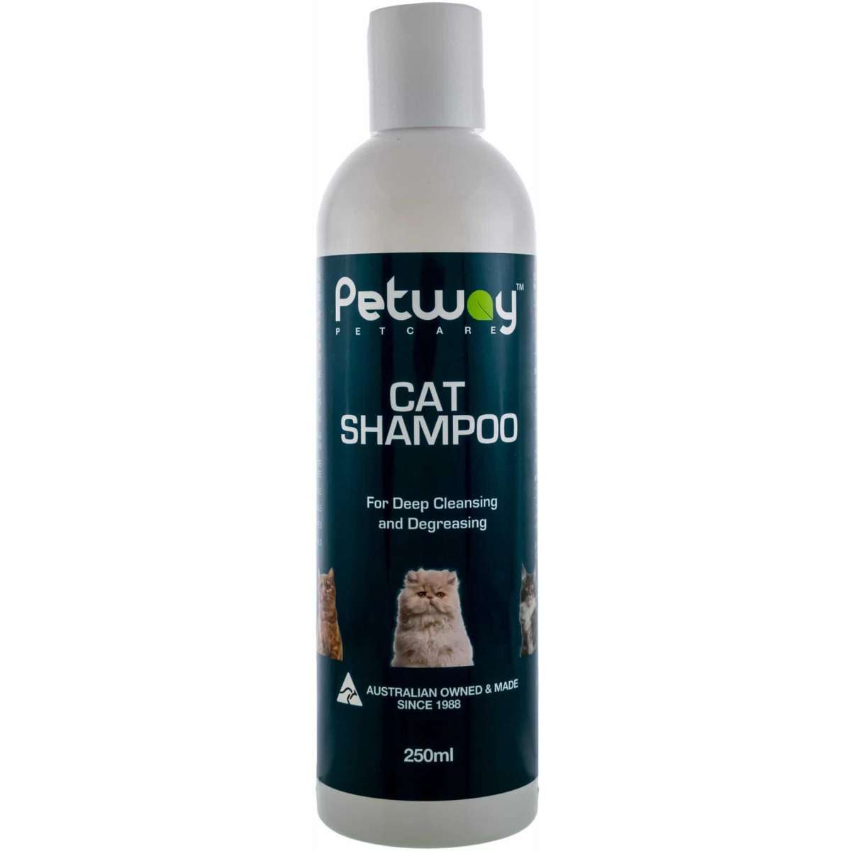 Petway shampoo hotsell