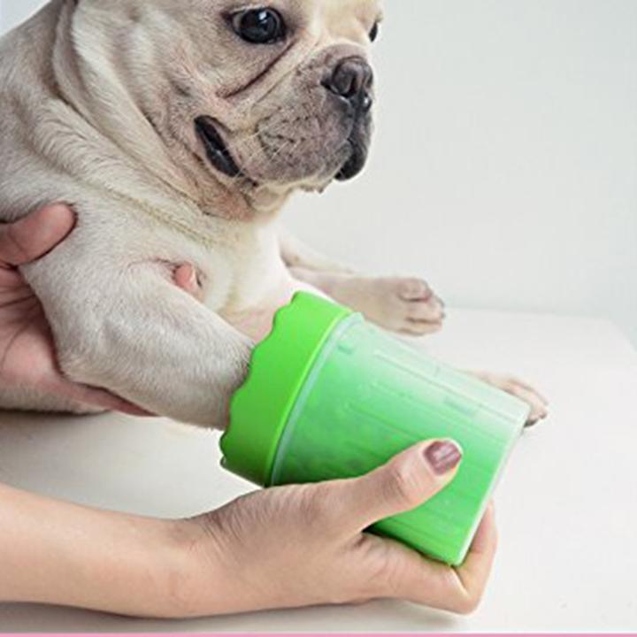 Machine Washable | PETS Magazine: Ask the Expert, by Desmond Chan