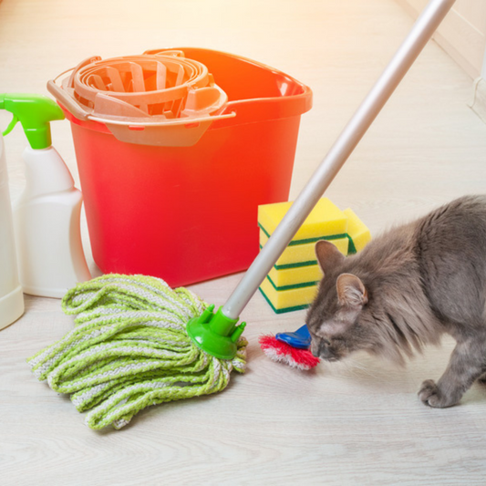 Safeguarding our Pets: 5 Toxic Ingredients in Household Cleaners to Avoid