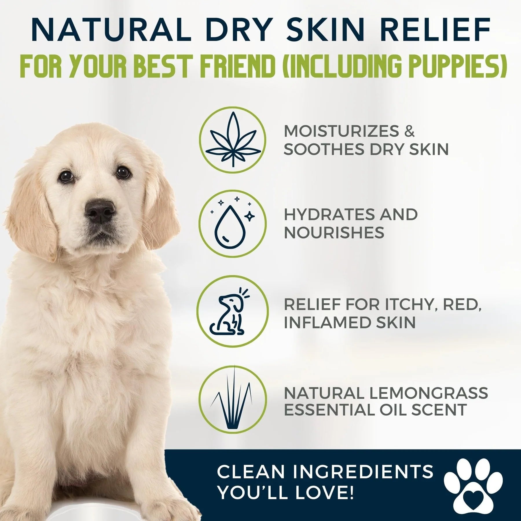 Best way incredible to treat dry skin on dogs