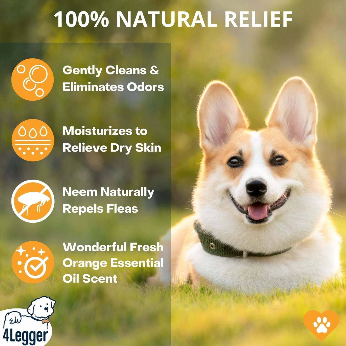 4-Legger Revitalize Dog Shampoo - Neem with Sweet Orange Essential Oil