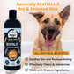 4-Legger Revitalize Dog Shampoo - Neem with Sweet Orange Essential Oil