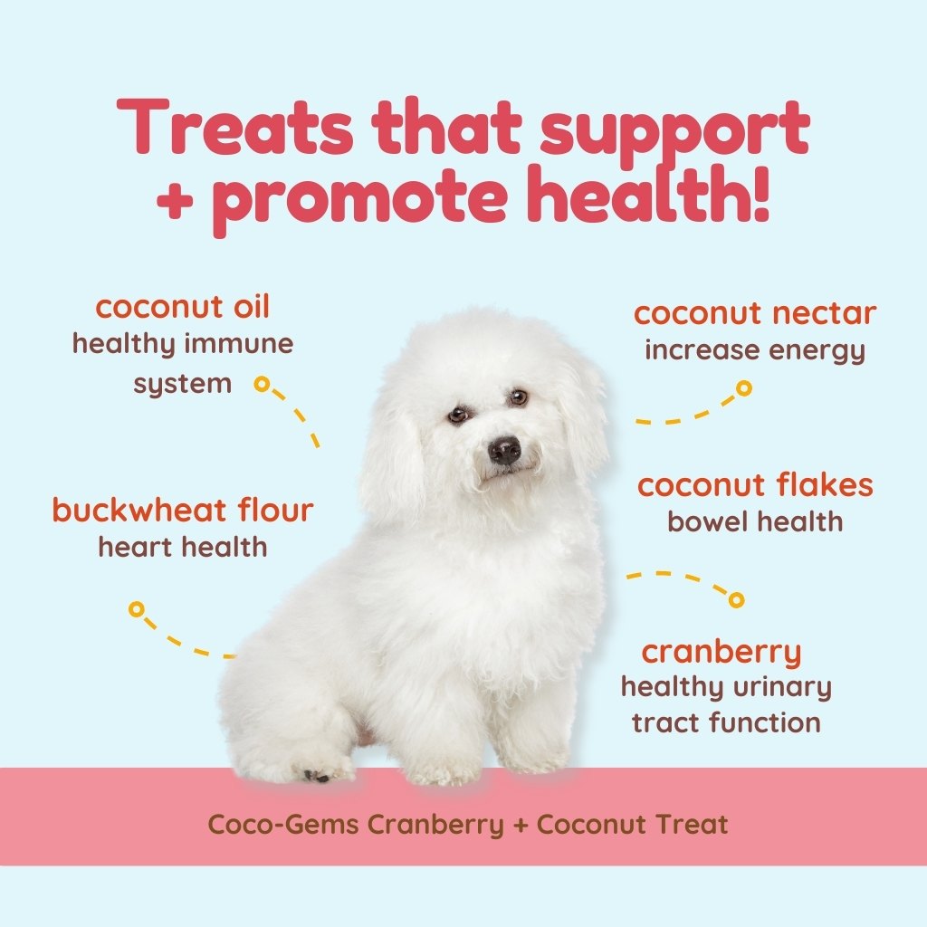 Cocotherapy Coco-Gems Training Treats Cranberry + Coconut (Organic Training Treat for dogs)