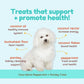 Cocotherapy Coco-Gems Training Treats Peppermint + Parsley (Organic Training Treat for dogs)