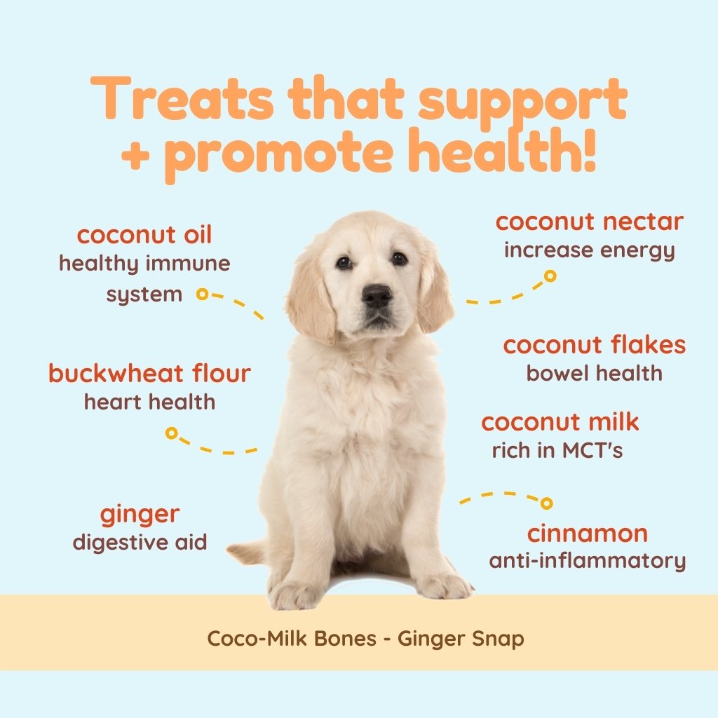 Cocotherapy Coco-Milk Bones Ginger Snaps Biscuit (Organic Coconut Treat for dogs)
