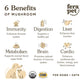 Fera Pets USDA Organic Mushroom Blend for Immune Support