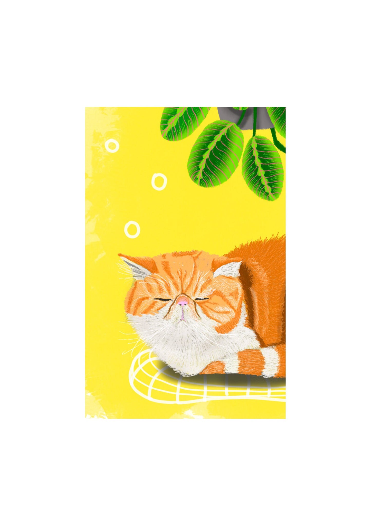 Ginger White Cat With Maranta Print