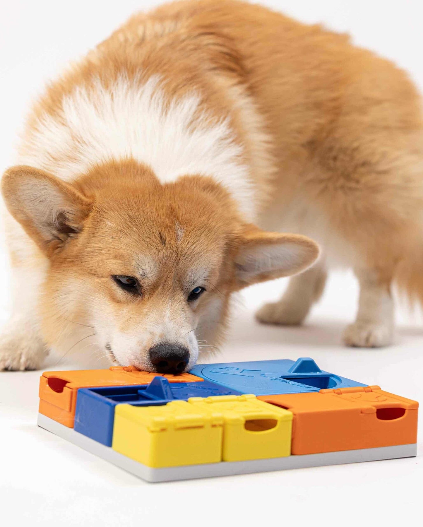 Pawzler Modular Dog Puzzle - Rainbow Set