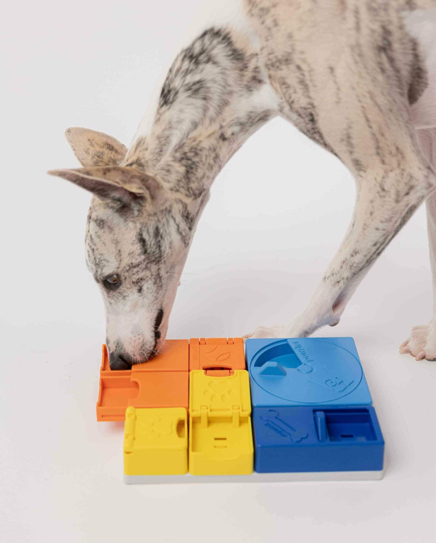 Pawzler Modular Dog Puzzle - Rainbow Set