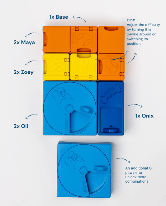 Pawzler Modular Dog Puzzle - Rainbow Set