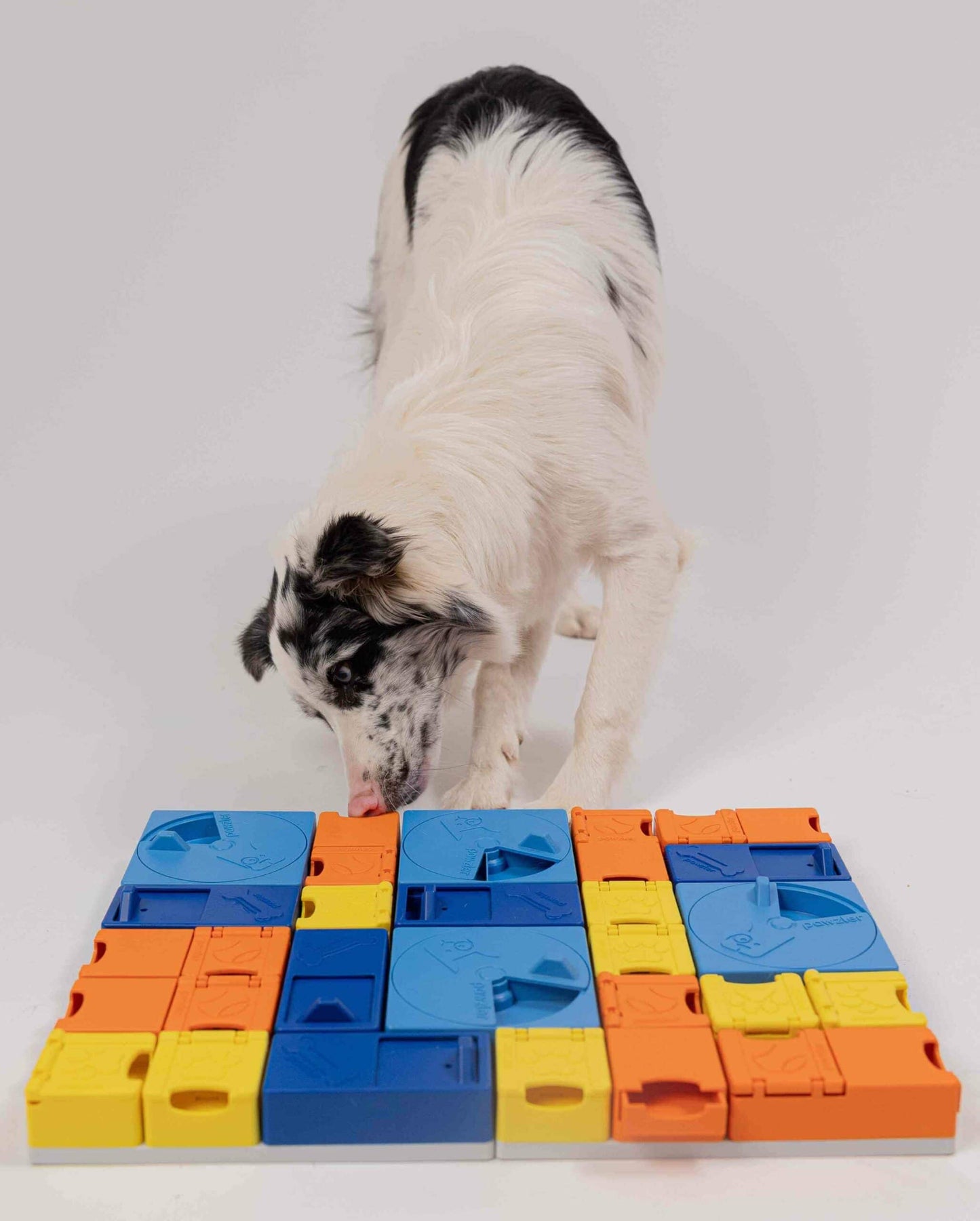 Pawzler Modular Dog Puzzle - Rainbow Set