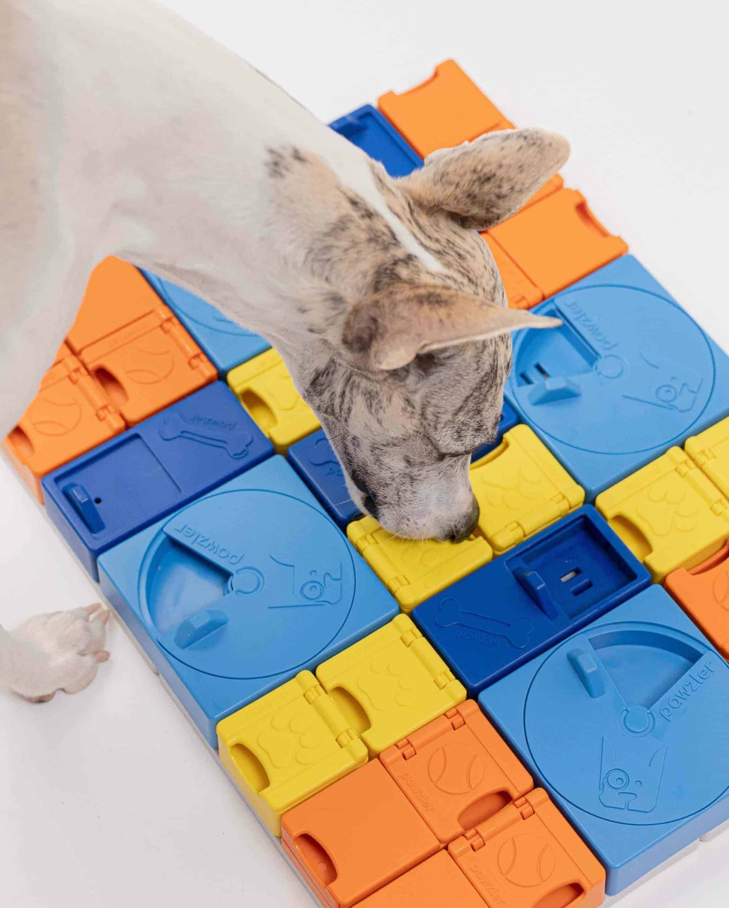 Pawzler Modular Dog Puzzle - Rainbow Set