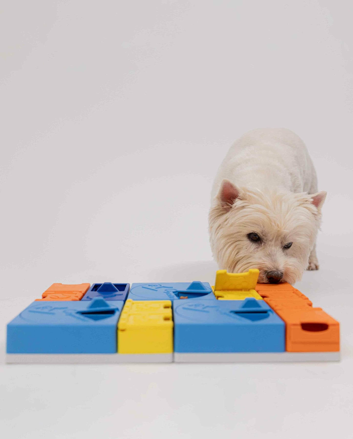 Pawzler Modular Dog Puzzle - Rainbow Set