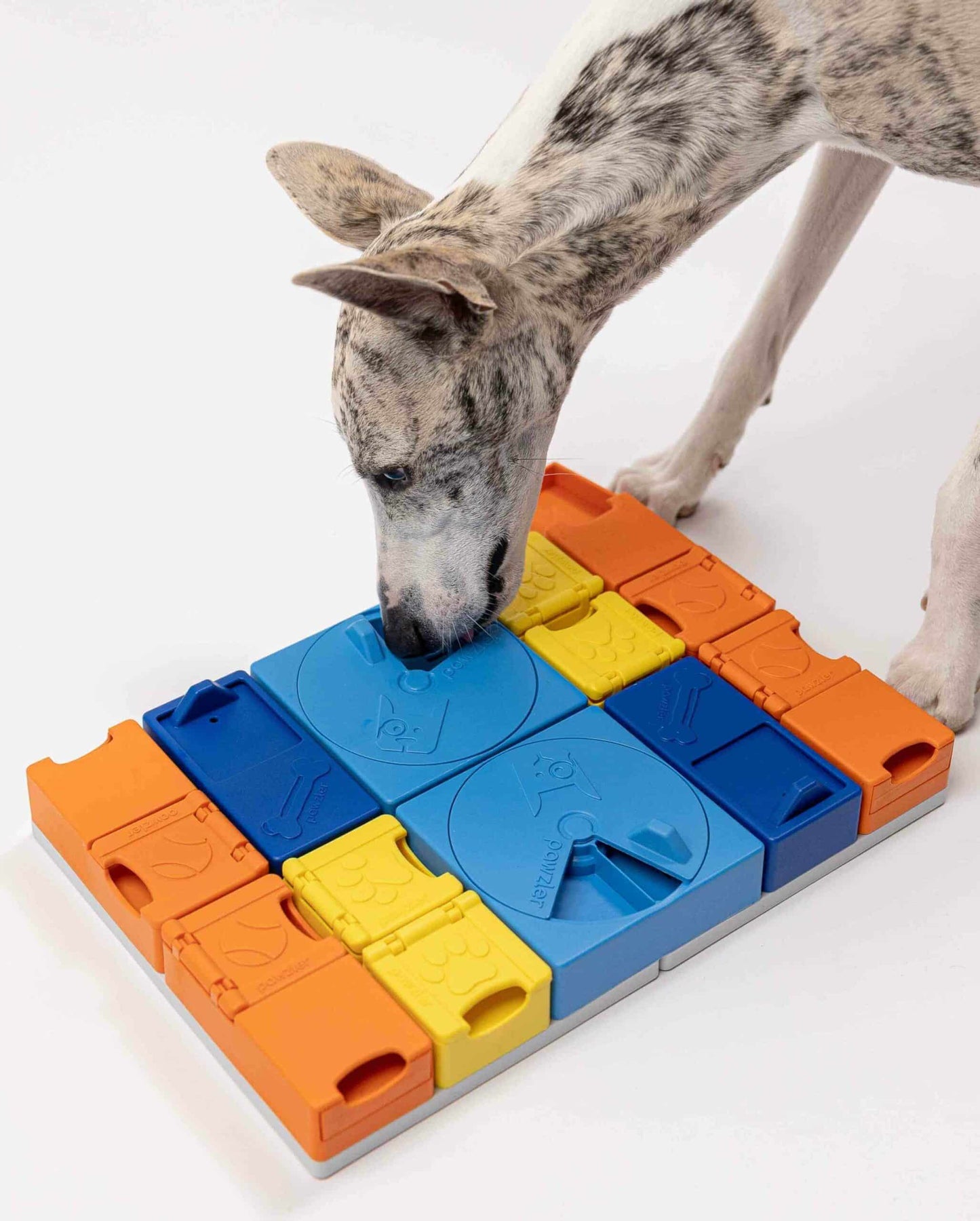 Pawzler Modular Dog Puzzle - Rainbow Set