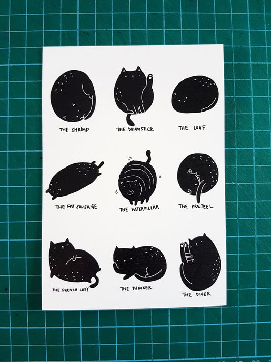 Cat Poses Postcard
