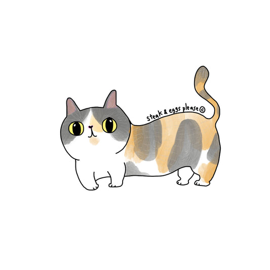 Munchkin Cat Sticker