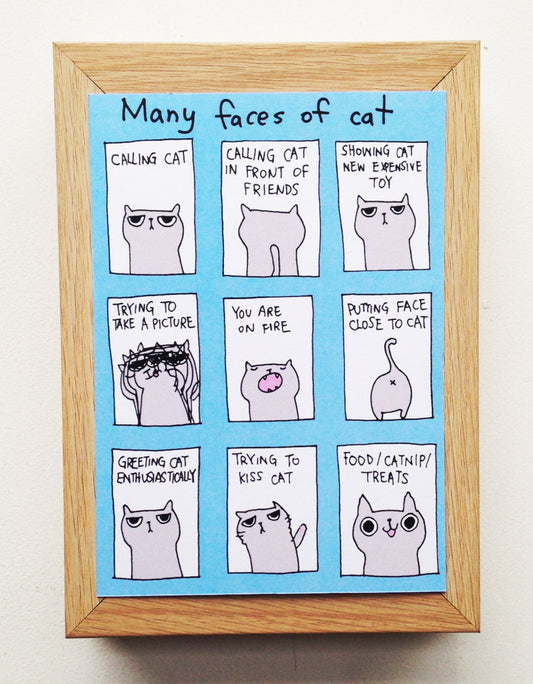 Many Faces Of Cat Postcard