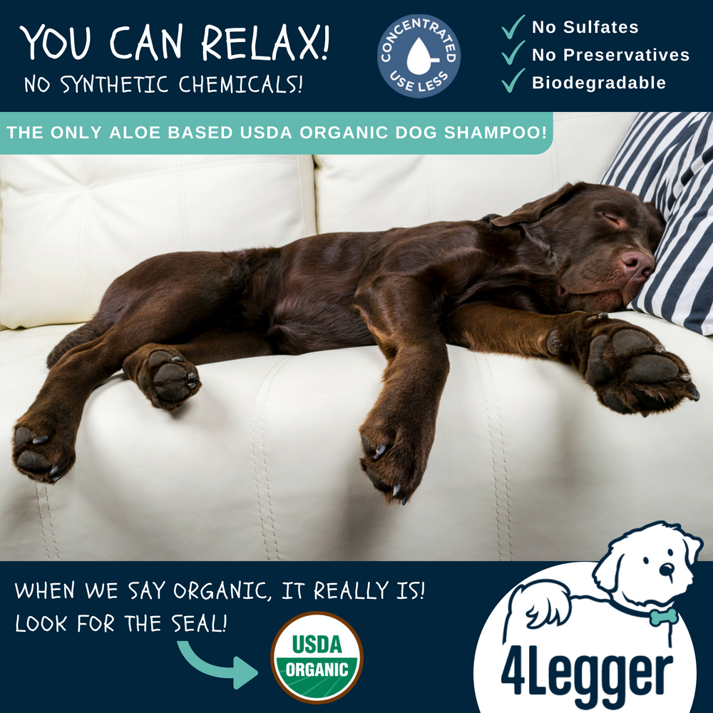 4-Legger USDA Organic Cooling Dog Shampoo