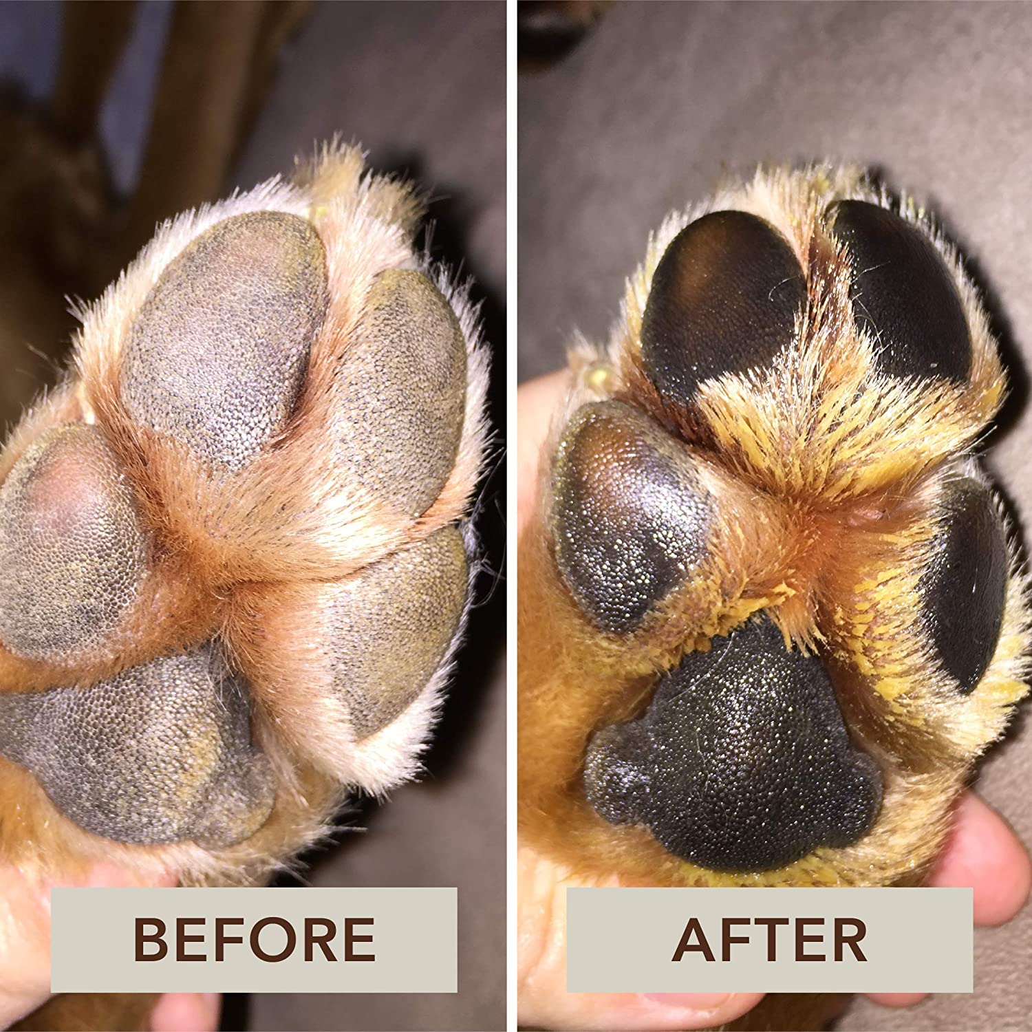 Dog paw pad clearance lotion