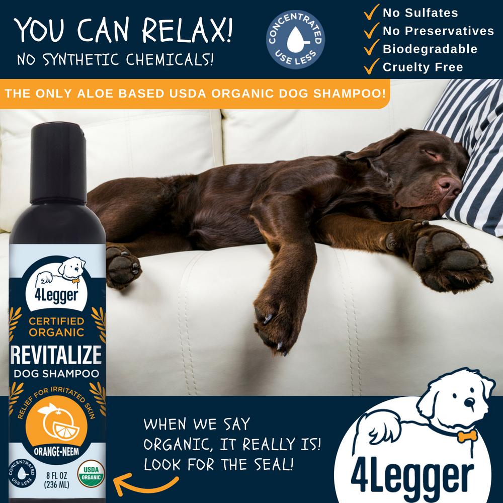 4 legger dog shampoo best sale near me