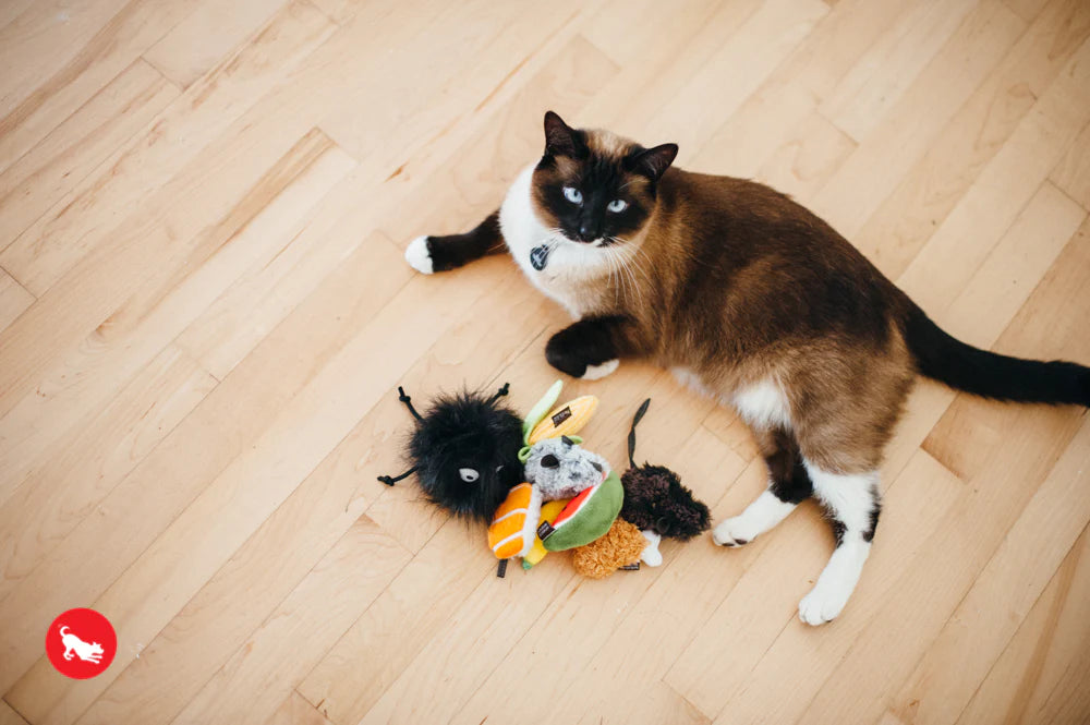 P.L.A.Y Feline Frenzy Catnip Toy Set: Tutti Furutti