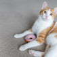 P.L.A.Y Feline Frenzy Catnip Kitty Kreme Doughnut