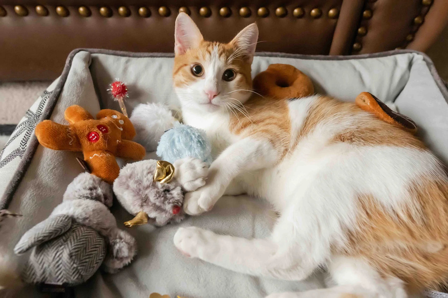P.L.A.Y Feline Frenzy Catnip Toy Set: Meowy Christmas