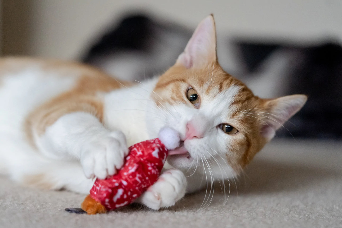 P.L.A.Y Feline Frenzy Catnip Toy Set: Meowy Christmas