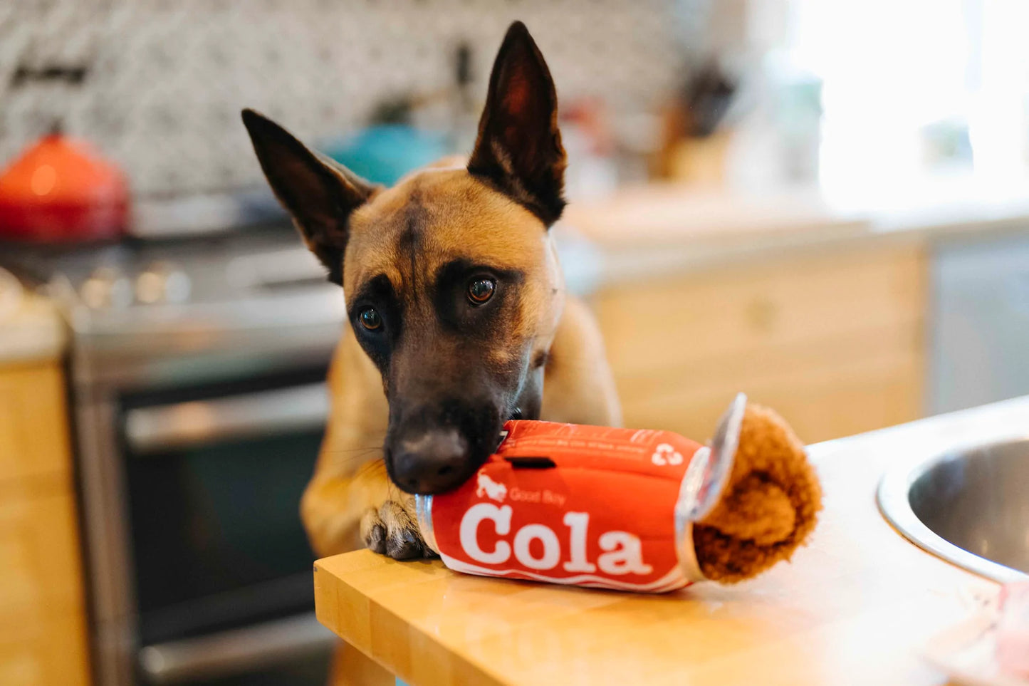 P.L.A.Y Snack Attack Good Boy Cola Dog Toy
