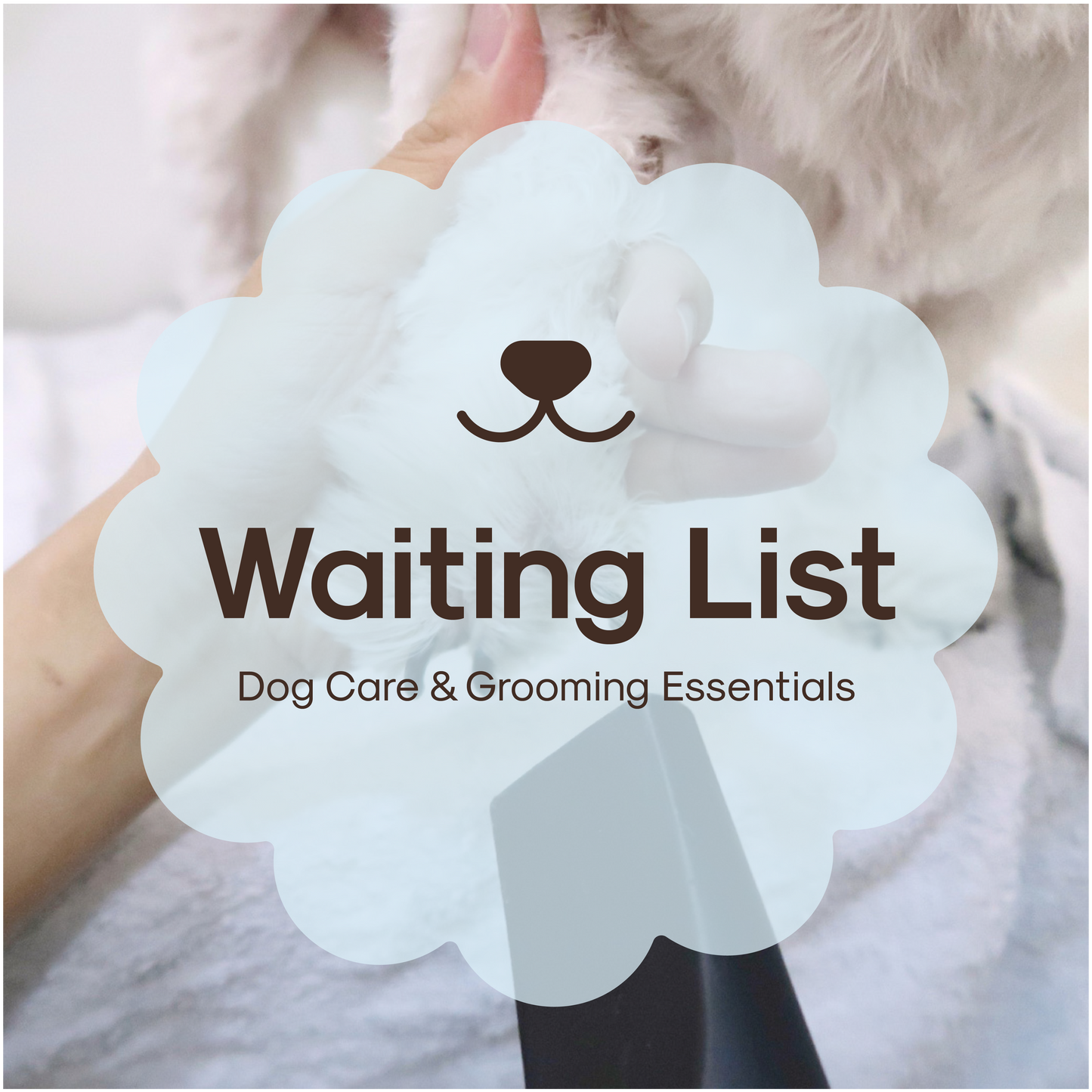 Register Interest: Dog Care & Grooming Workshop