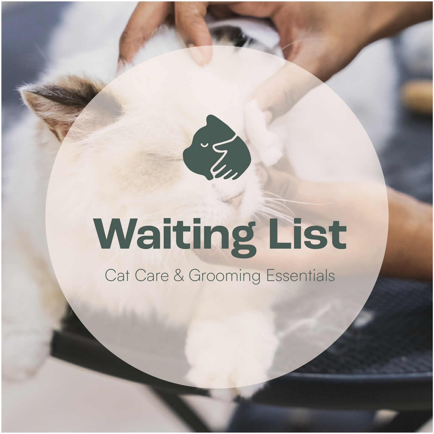 Register Interest: Cat Care & Grooming Essentials Workshop