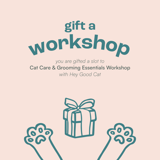 Gift A Workshop - Cat Edition
