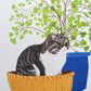 Cat & Maidenhair Fern Print