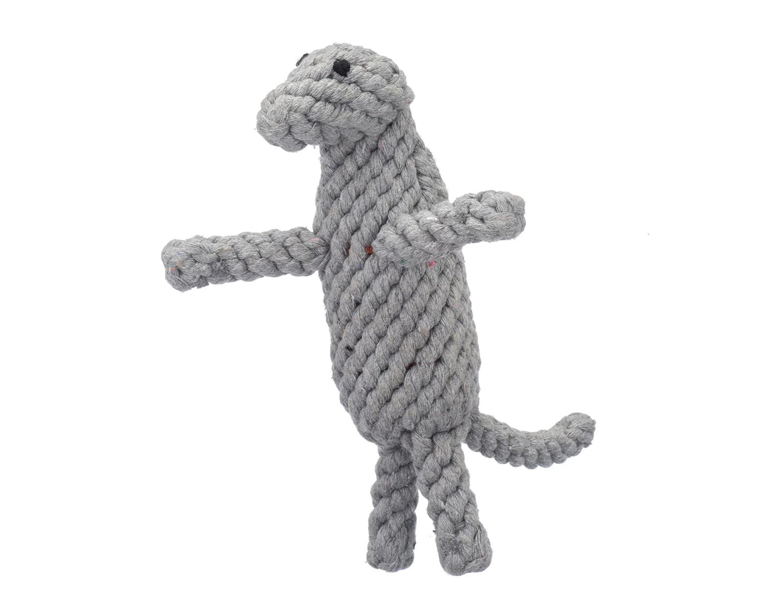 Ⓗ Dexter The Komodo Dragon 9" Rope Dog Toy